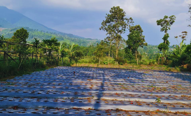 Jual Tanah View Danau Dan Gunung Di Bandung