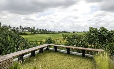 Villa Mewah View Sawah Dekat Pantai Tabanan