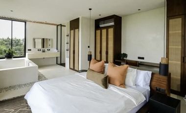 Villa Mewah View Sawah Dekat Pantai Tabanan