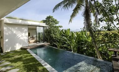 Villa Mewah View Sawah Dekat Pantai Tabanan