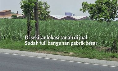 Lahan industri termurah lamongan