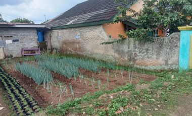 Rumah Kebun 300 m, Dekat Pintu Tol, Darangdan, Purwakarta.