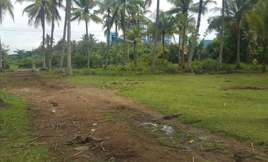 Tanah Pinggir Pantai dan Pinggir Jalan SHM Anyer PLTU Labuan 650rb