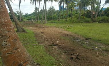 Tanah Pinggir Pantai dan Pinggir Jalan SHM Anyer PLTU Labuan 650rb