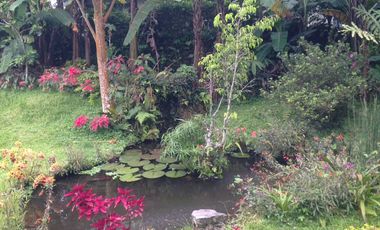 1085. Dijual Segera Villa di Trawas, Kemloko Mojokerto Jawa Timur