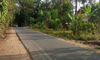 Tanah 3284 Meter Strategis di Ring 1 Candi Borobudur Magelang