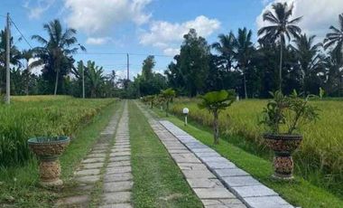 VILLA ASRI LOKASI TABANAN BALI
