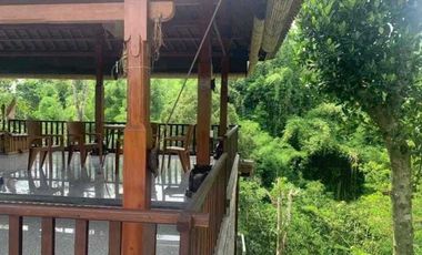 VILLA ASRI LOKASI TABANAN BALI