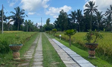 VILLA LOKASI TABANAN BALI