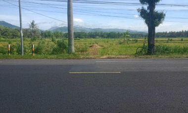 JUAL TANAH DI JALAN NASIONAL SOGAN WATES MURAH