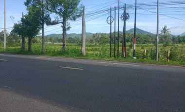 JUAL TANAH DI JALAN NASIONAL SOGAN WATES MURAH