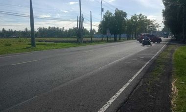 JUAL TANAH DI JALAN NASIONAL SOGAN WATES MURAH