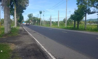 JUAL TANAH DI JALAN NASIONAL SOGAN WATES MURAH