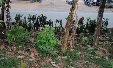 Tanah SHM pinggir jalan ijin usaha sdh banyak pabrik