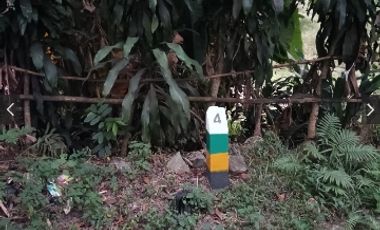 Tanah SHM pinggir jalan ijin usaha sdh banyak pabrik