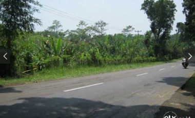 Tanah SHM pinggir jalan ijin usaha sdh banyak pabrik
