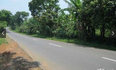 Tanah SHM pinggir jalan ijin usaha sdh banyak pabrik