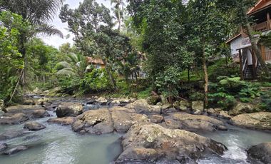 Disewakan villa yang sangat asri dengan sungai di tabanan bali