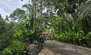 Disewakan villa yang sangat asri dengan sungai di tabanan bali