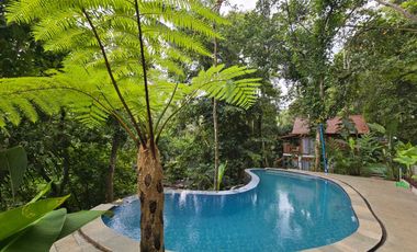 Disewakan villa yang sangat asri dengan sungai di tabanan bali