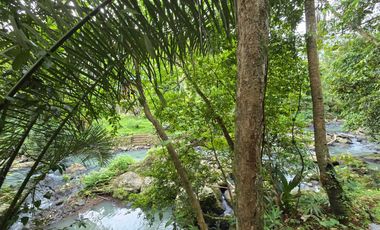 Disewakan villa yang sangat asri dengan sungai di tabanan bali