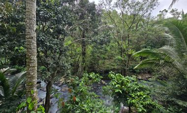 Disewakan villa yang sangat asri dengan sungai di tabanan bali