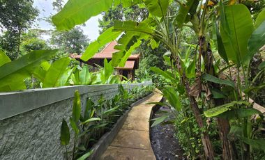 Disewakan villa yang sangat asri dengan sungai di tabanan bali