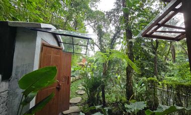 Disewakan villa yang sangat asri dengan sungai di tabanan bali