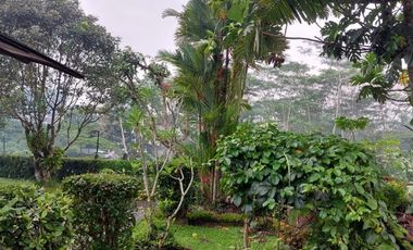 Dijual rumah Villa asri tanah luas, sdh siap huni,  di Kota Magelang