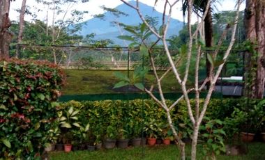 Dijual rumah Villa asri tanah luas, sdh siap huni,  di Kota Magelang