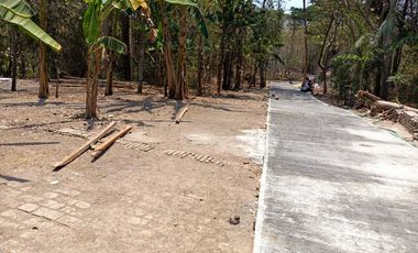 INVESTASI TANAH MURAH SELATAN BRI PANDAK AKSES MUDAH,JK11330