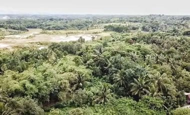 Jual Tanah di Jl. Raya Rangkasbitung, Lebak - Banten