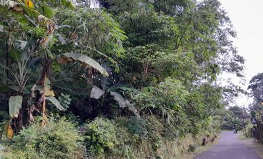 Jual MURAH tanah SHM atas jalan di Pakem Sleman dekat Kaliurang