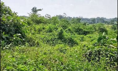 Jual Tanah Industri di Rangkasbitung Mekar Agung Cibadak - Lebak