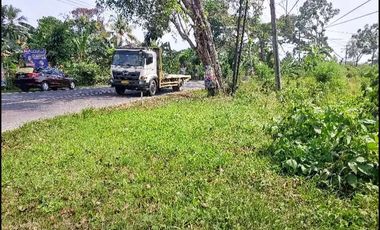 Jual Tanah Industri di Rangkasbitung Mekar Agung Cibadak - Lebak