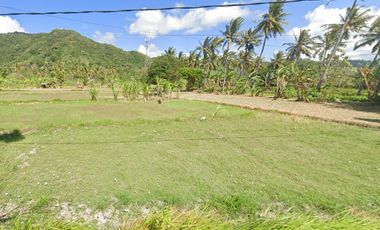 Tanah SHM Pinggir Pantai Sekotong, Luas 8 Hectare, Lombok Barat
