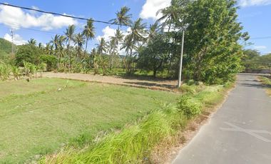 Tanah SHM Pinggir Pantai Sekotong, Luas 8 Hectare, Lombok Barat