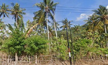 Tanah SHM Pinggir Pantai Sekotong, Luas 8 Hectare, Lombok Barat