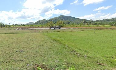 Tanah SHM Pinggir Pantai Sekotong, Luas 8 Hectare, Lombok Barat