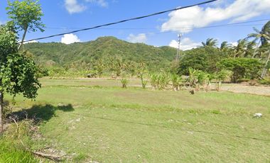 Tanah SHM Pinggir Pantai Sekotong, Luas 8 Hectare, Lombok Barat