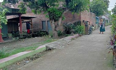 Jual rumah murah di ngampungan bareng Jombang 60 meter ke jlnkabupaten