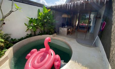 Apartemen Furnished Private Pool untuk persewaan samping kampus UPNVYK