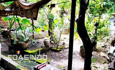 Rumah Ponorogo Tambakbayan Utara Alun Alun