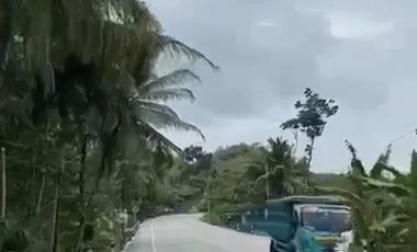 Jual Cepat Tanah SHM pinggir Jalan Purworejo dekat YIA (Bonus URUG)