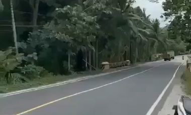 Jual Cepat Tanah SHM pinggir Jalan Purworejo dekat YIA (Bonus URUG)