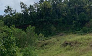 Jual Cepat Tanah SHM pinggir Jalan Purworejo dekat YIA (Bonus URUG)