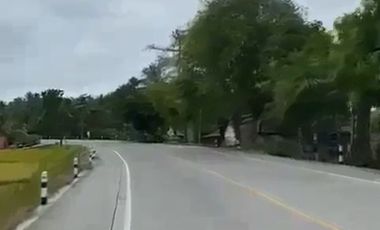 Jual Cepat Tanah SHM pinggir Jalan Purworejo dekat YIA (Bonus URUG)