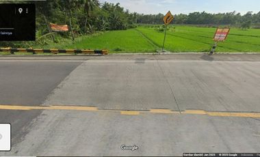 Jual Cepat Tanah SHM pinggir Jalan Purworejo dekat YIA (Bonus URUG)
