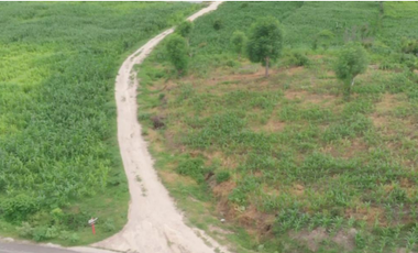 Tanah Pinggir Pantai dan Bukit di Jerowaru, Lombok TImu