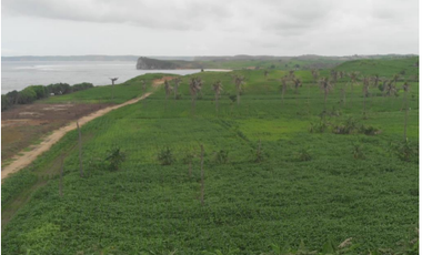 Tanah Pinggir Pantai dan Bukit di Jerowaru, Lombok TImu